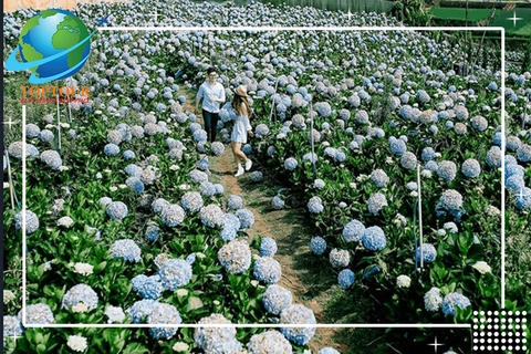 TOUR ĐÀ LẠT 5 NGÀY 4 ĐÊM - KHÁM PHÁ ĐẶC SẮC THÀNH PHỐ NGÀN HOA