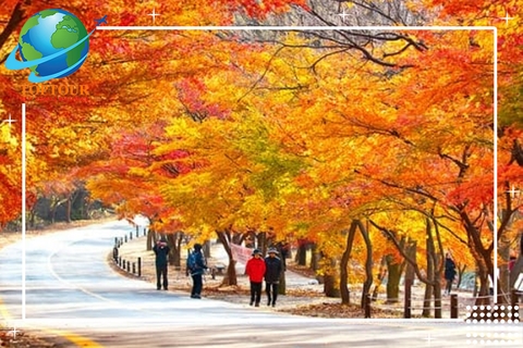 TOUR ĐI HÀN QUỐC - ĐỊA ĐIỂM GHÉ THĂM SEOUL VÀO MÙA THU