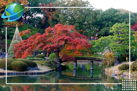 TOUR DU LỊCH NHẬT BẢN GIÁ RẺ MÙA NÀO ĐẸP NHẤT?