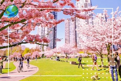 Những điều hấp dẫn khi du lịch Canada mùa xuân