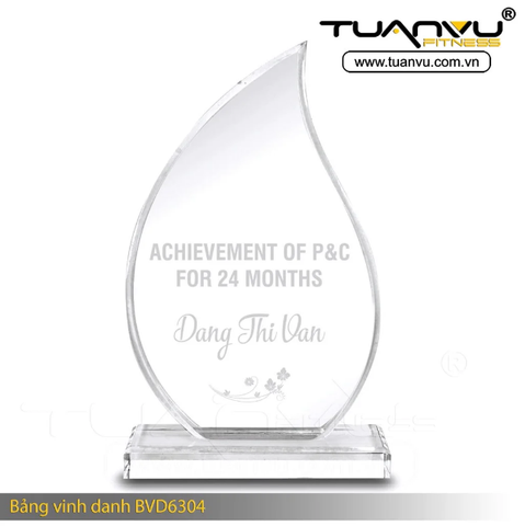Bảng vinh danh BVD6304