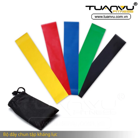Bộ dây chun tập kháng lực