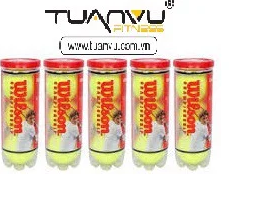 Bóng tennis winson đỏ championship hộp 3 quả
