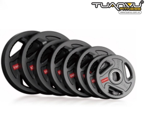 Đĩa tạ gang phủ sơn