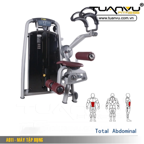 Máy tập bụng A011