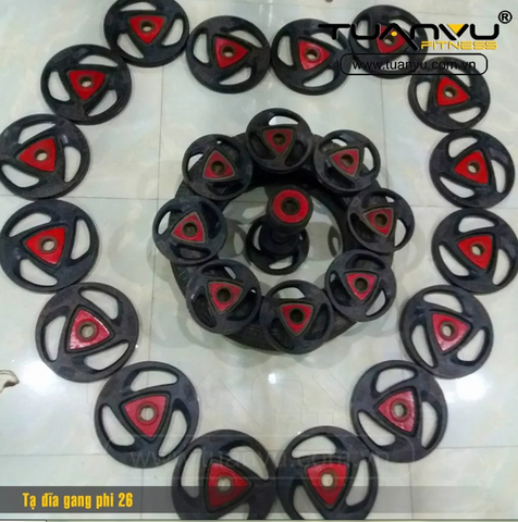 Tạ đĩa gang lỗ tạ phi 26