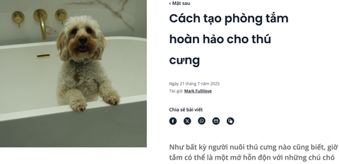 Cách tạo phòng tắm hoàn hảo cho thú cưng