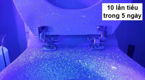 Tại sao đa số đàn ông Đức và Nhật đi tiểu ngồi? Đây là lý do tất cả nam giới nên học hỏi họ