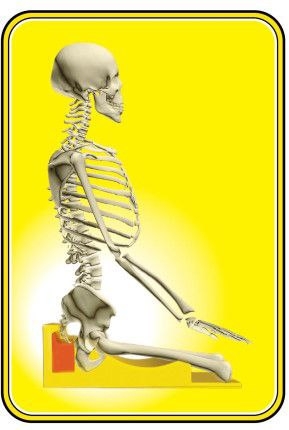 Đệm ngồi DrLoan đem lại hiệu quả BẢO VỆ CỘT SỐNG, NGĂN CHẶN BIẾN DẠNG xương chậu, xương cùng và cột sống của bạn khi thiền, tu tập và trong sinh hoạt hằng ngày ngay tại nhà.