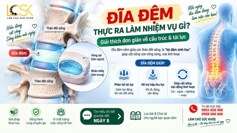 ĐĨA ĐỆM THỰC RA LÀM NHIỆM VỤ GÌ?