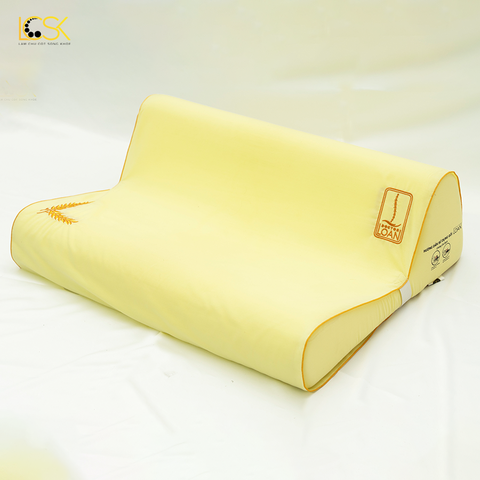 GỐI ĐIỀU TRỊ CỔ F4 DOCTORLOAN