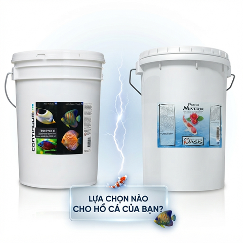 SO SÁNH VẬT LIỆU LỌC SEACHEM MATRIX vs CONTINUUM BACT-ROX