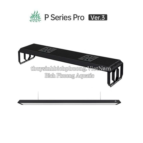 ĐÈN LED WEEK P SERIES PRO VER 3