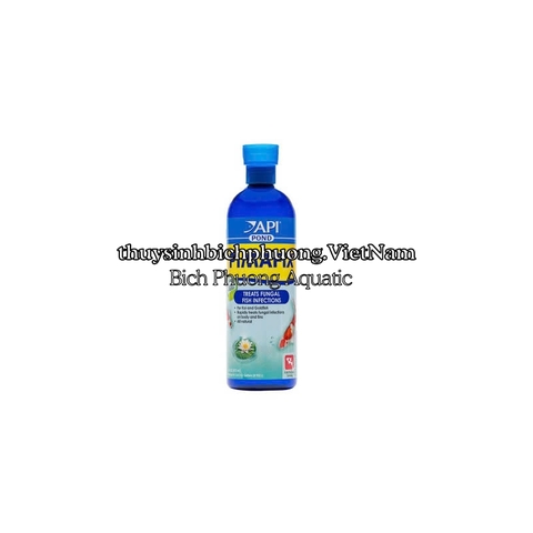 API POND PIMAFIX - PHÒNG VÀ ĐIỀU TRỊ NẤM CÁ CẢNH CẤP TỐC