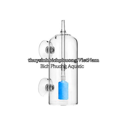 CỐC CHỤP SỦI OXY CHỐNG VĂNG (TẶNG KÈM DÂY + ĐẦU SỦI)