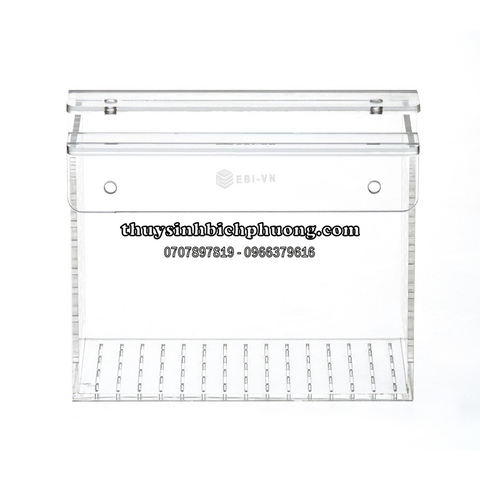 BOX ACRYLIC DƯỠNG | SHOW CÁ TÉP (BOX16)