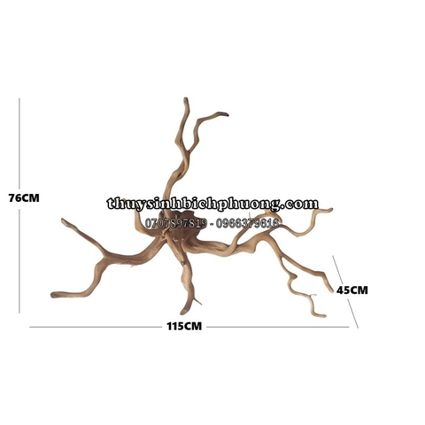BP15 - BỘ LŨA GỖ ĐỖ QUYÊN NGUYÊN KHỐI