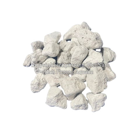 ĐÁ LÔNG VŨ (NHAM THẠCH TRẮNG / PUMICE) - GIẢI PHÁP TOÀN DIỆN CHO CÂY TRỒNG & HỆ THỐNG LỌC NƯỚC