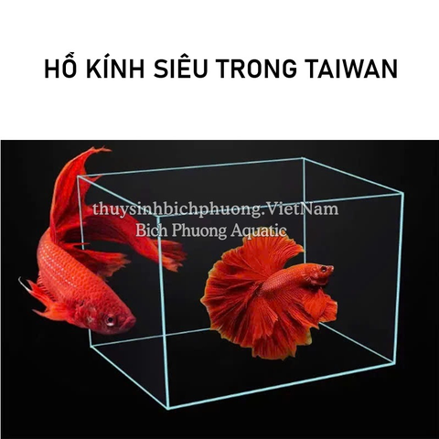 HỒ KÍNH SIÊU TRONG TAIWAN - HỒ CÁ THỦY SINH