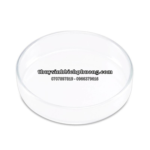 CHÉN THỦY TINH ĐỰNG THỨC ĂN TÉP