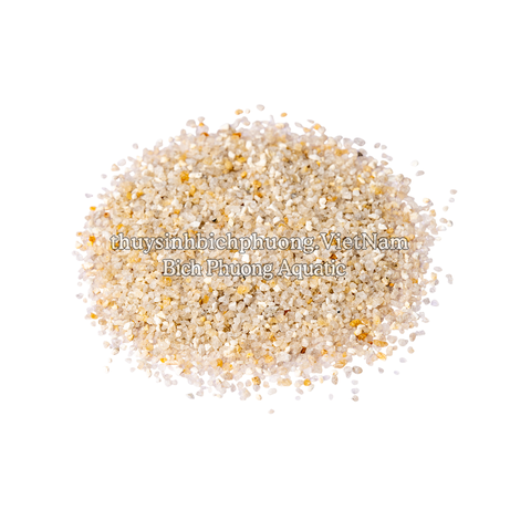 GOLDEN-FLECKED WHITE SAND - CÁT TRẮNG KIM SA