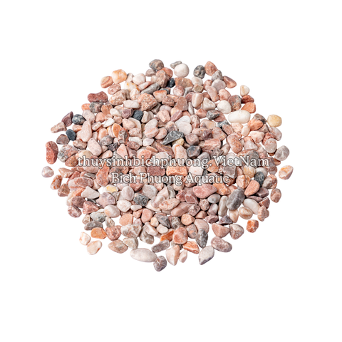 VOLCANO PEBBLE | SỎI NÚI LỬA