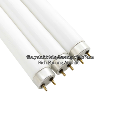 BÓNG ĐÈN JEBO T8HO 10000K – BÓNG THAY THẾ CHÍNH HÃNG CHO MÁNG ĐÈN JEBO