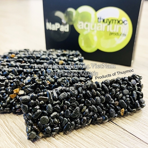 NAPAD ĐEN  - GIÁ THỂ TRỒNG CÂY