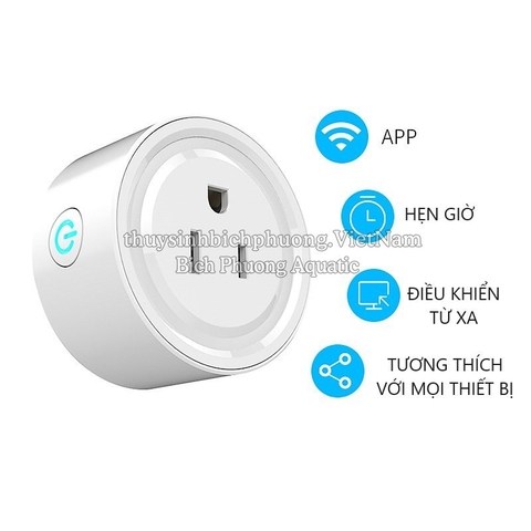 TIMER | Ổ CẮM HẸN GIỜ WIFI THÔNG MINH SỬ DỤNG APP COZY LIFE