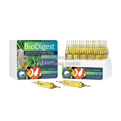 PRODIBIO BIODIGEST - VI SINH CAO CẤP