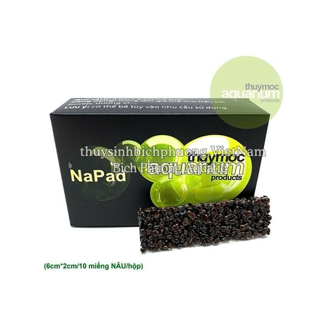 NAPAD NÂU - GIÁ THỂ TRỒNG CÂY