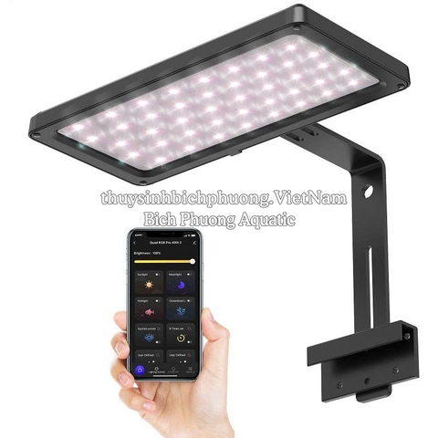 ĐÈN LED FUNLUX RGB 40