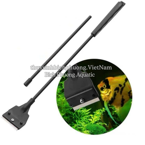 DAO CẠO RÊU MINI - VỆ SINH HỒ KÍNH THỦY SINH