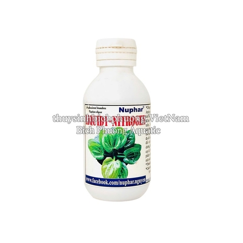 LIQUID 1 – NITROGEN - PHÂN NƯỚC NUPHAR