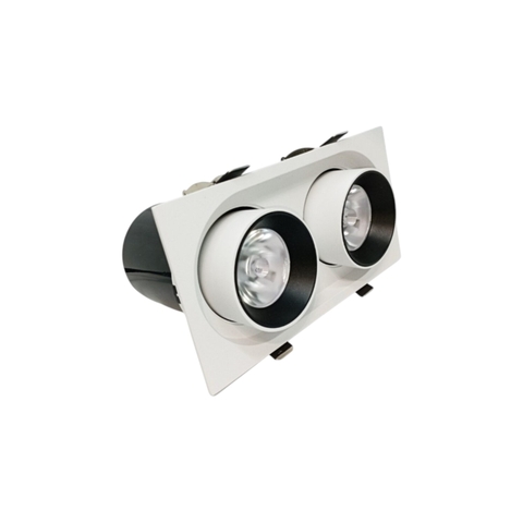 Đèn Âm Trần Đôi Rọi Chỉnh Hướng 2*10W - GSATDR2X10