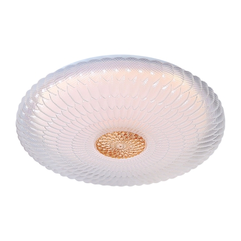 Đèn LED Ốp Trần Nhựa Cao Cấp 36W ANFACO AFC 067