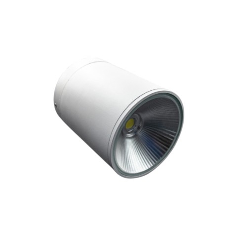 Đèn LED Downlight Gắn Nổi 10W-30W PARAGON Chống Nước IP65 Seri PSDRR