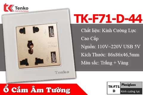 Ổ Cắm USB Âm Tường Mặt Kính Cường Lực Tenko TK-F71-D-44