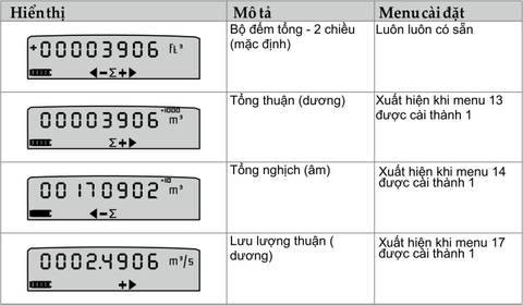 Hiển thị số tổng và lưu lượng trên mặt hiển thị