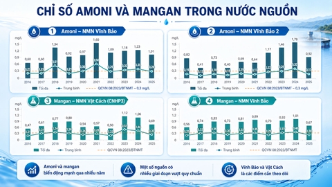 Chỉ số chất lượng nước nguồn – các chỉ tiêu amoni, mangan