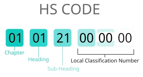 HS Codes