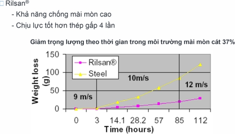 Lớp lót Rilsan