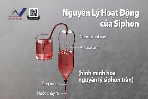 Nguyên Lý Hoạt Động của Siphon và Ứng Dụng Trong Thực Tế