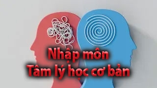 Nhập môn Tâm lý học cơ bản - Psychology Fundamental 101