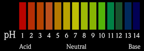 Thang đo pH từ 1 đến 14 thể hiện môi trường axit, trung tính và bazơ