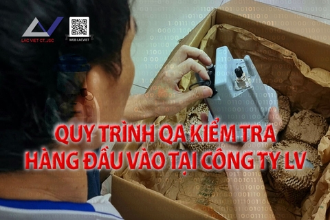 Quy trình kiểm tra hàng đầu vào tại Công ty Lạc Việt - Cello 4S