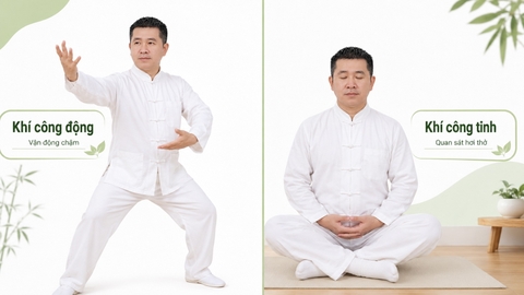 So sánh khí công động và khí công tĩnh