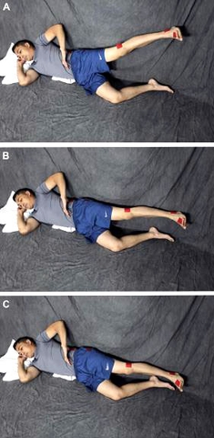 Giai đoạn phục hồi lực cơ