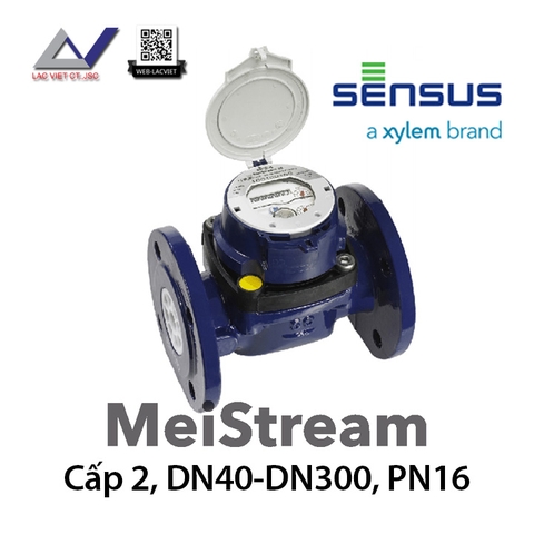 Đồng hồ đo nước lạnh SENSUS MeiStream cấp 2, DN40 - DN300