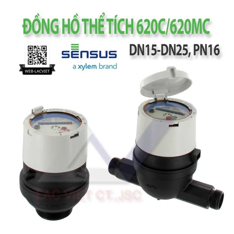 Đồng hồ thể tích 620C / 620MC Sensus